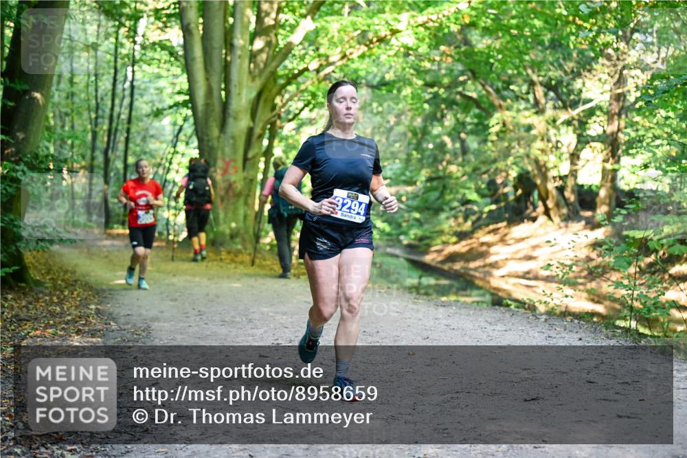 28.09.2025 - 33. Volkslauf durch das schöne Alstertal Dr. Thomas Lammeyer http://msf.ph/oto/8958659 28.09.2025 10:52:17 Laufen 3294 meine-sportfotos.de