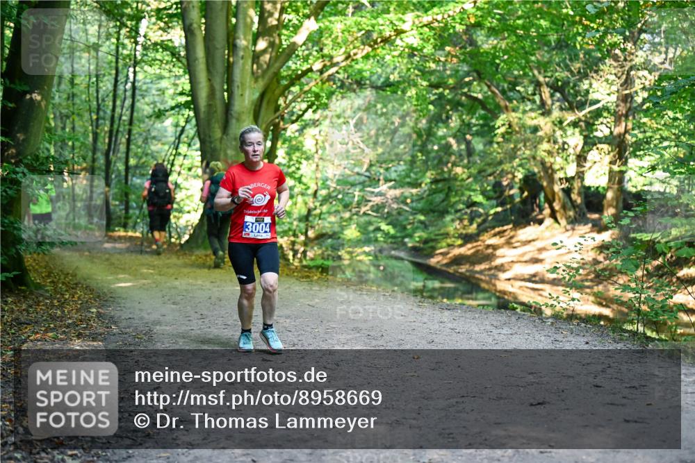 28.09.2025 - 33. Volkslauf durch das schöne Alstertal Dr. Thomas Lammeyer http://msf.ph/oto/8958669 28.09.2025 10:52:19 Laufen 3004 meine-sportfotos.de