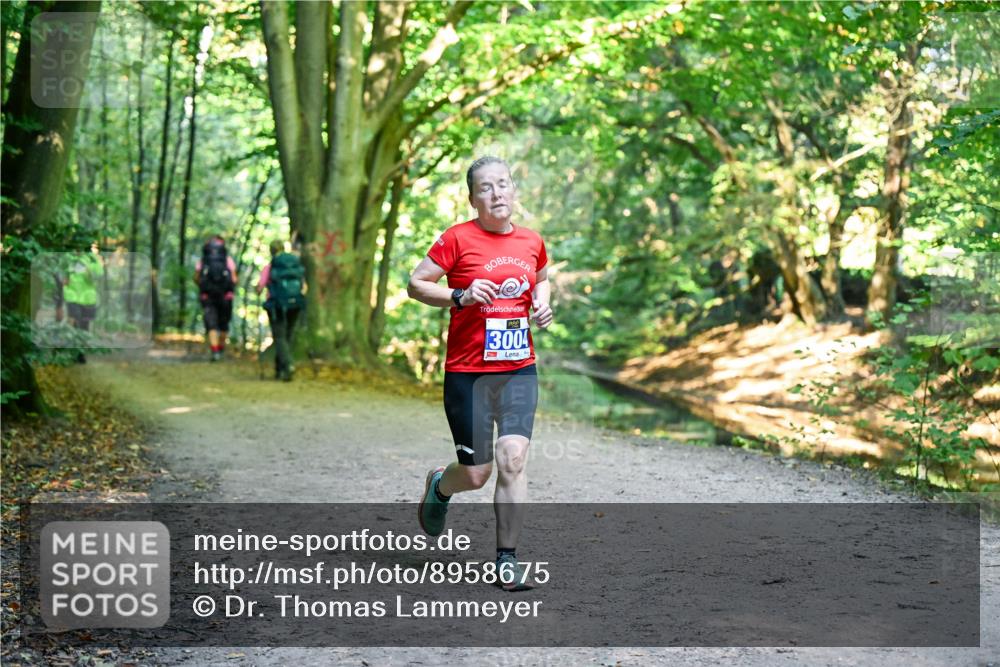 28.09.2025 - 33. Volkslauf durch das schöne Alstertal Dr. Thomas Lammeyer http://msf.ph/oto/8958675 28.09.2025 10:52:20 Laufen 240, 3004 meine-sportfotos.de