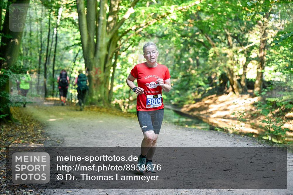 28.09.2025 - 33. Volkslauf durch das schöne Alstertal Dr. Thomas Lammeyer http://msf.ph/oto/8958676 28.09.2025 10:52:20 Laufen 3004 meine-sportfotos.de