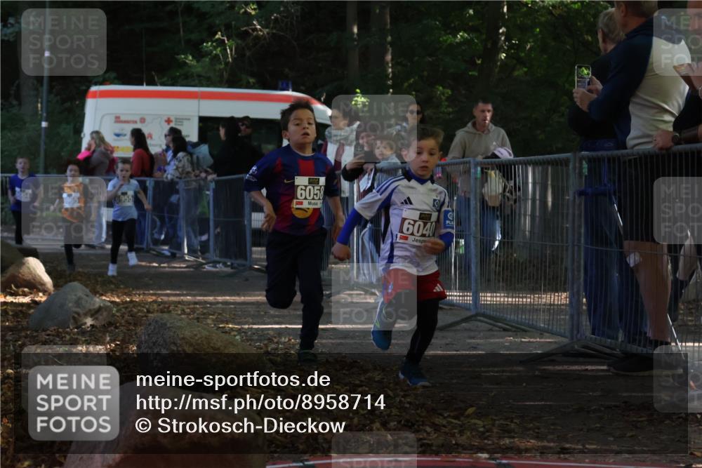 28.09.2025 - 33. Volkslauf durch das schöne Alstertal Strokosch-Dieckow http://msf.ph/oto/8958714 28.09.2025 10:41:57 Ziel  meine-sportfotos.de