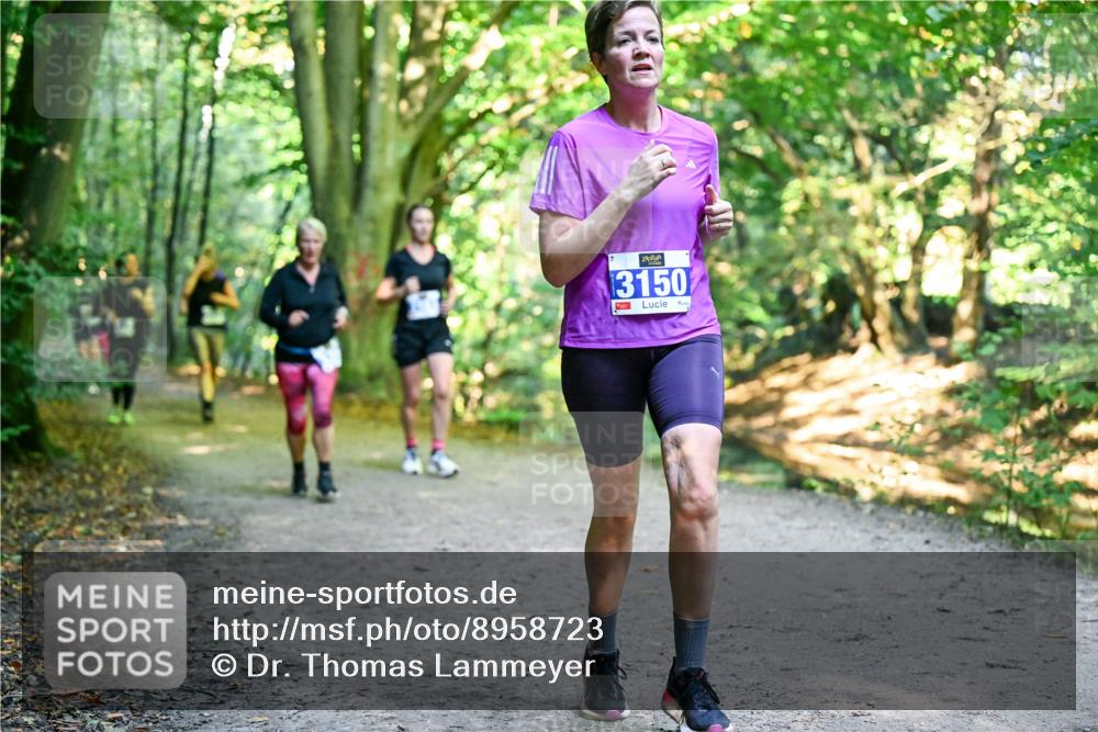 28.09.2025 - 33. Volkslauf durch das schöne Alstertal Dr. Thomas Lammeyer http://msf.ph/oto/8958723 28.09.2025 10:52:40 Laufen 3150, 1 meine-sportfotos.de