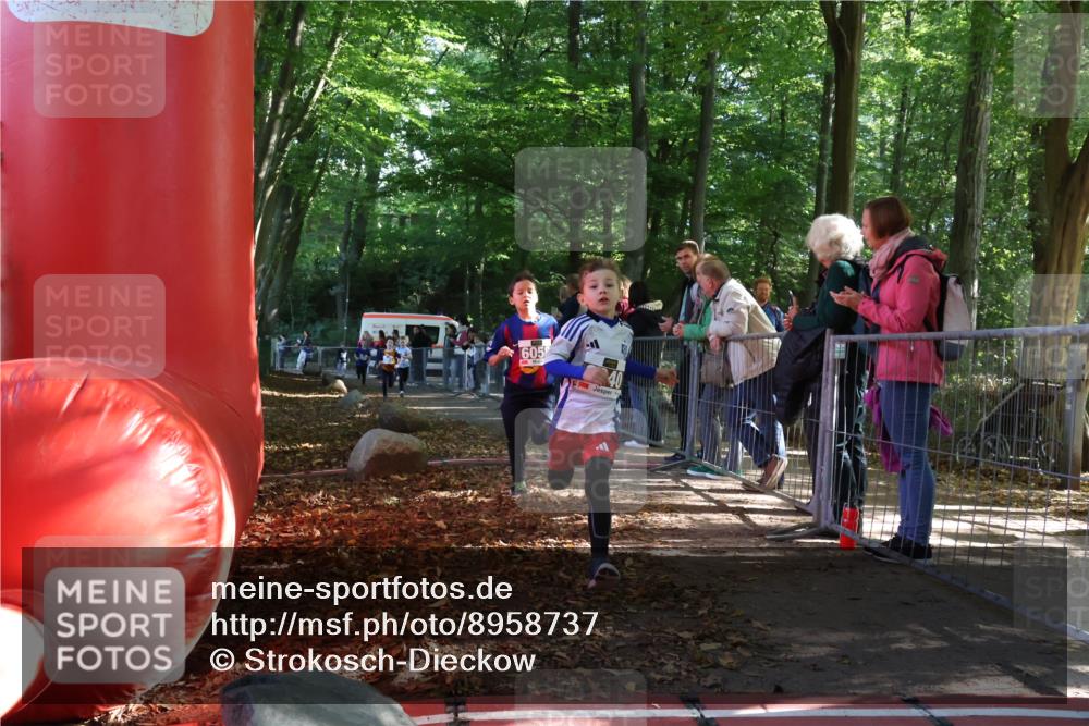 28.09.2025 - 33. Volkslauf durch das schöne Alstertal Strokosch-Dieckow http://msf.ph/oto/8958737 28.09.2025 10:41:58 Ziel  meine-sportfotos.de