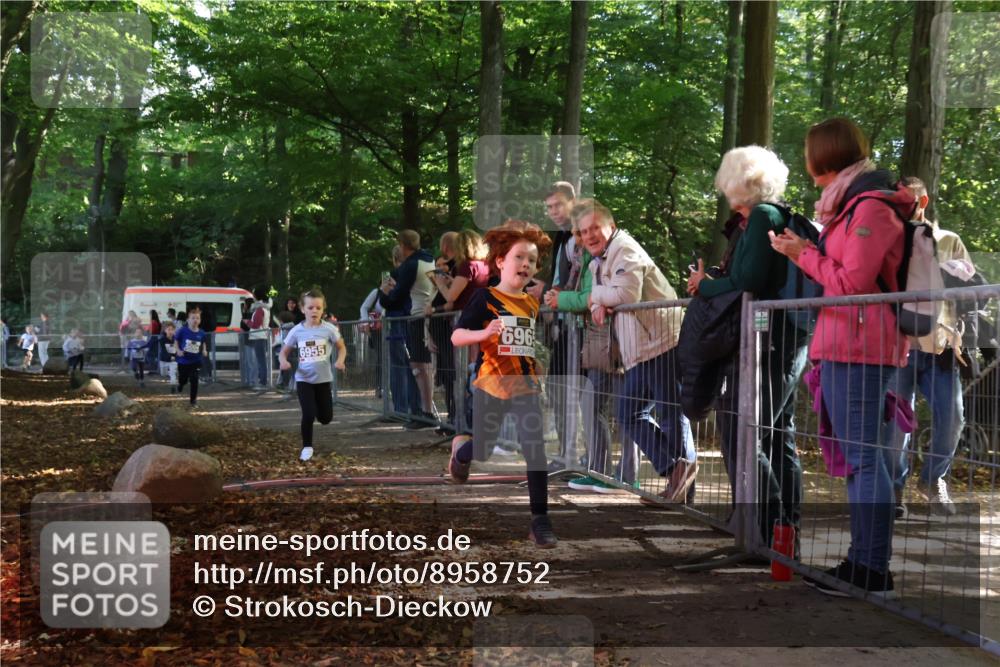 28.09.2025 - 33. Volkslauf durch das schöne Alstertal Strokosch-Dieckow http://msf.ph/oto/8958752 28.09.2025 10:42:01 Ziel  meine-sportfotos.de