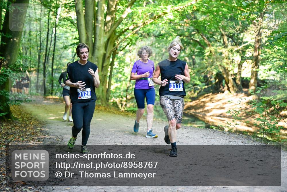 28.09.2025 - 33. Volkslauf durch das schöne Alstertal Dr. Thomas Lammeyer http://msf.ph/oto/8958767 28.09.2025 10:52:45 Laufen 3120, 3119 meine-sportfotos.de