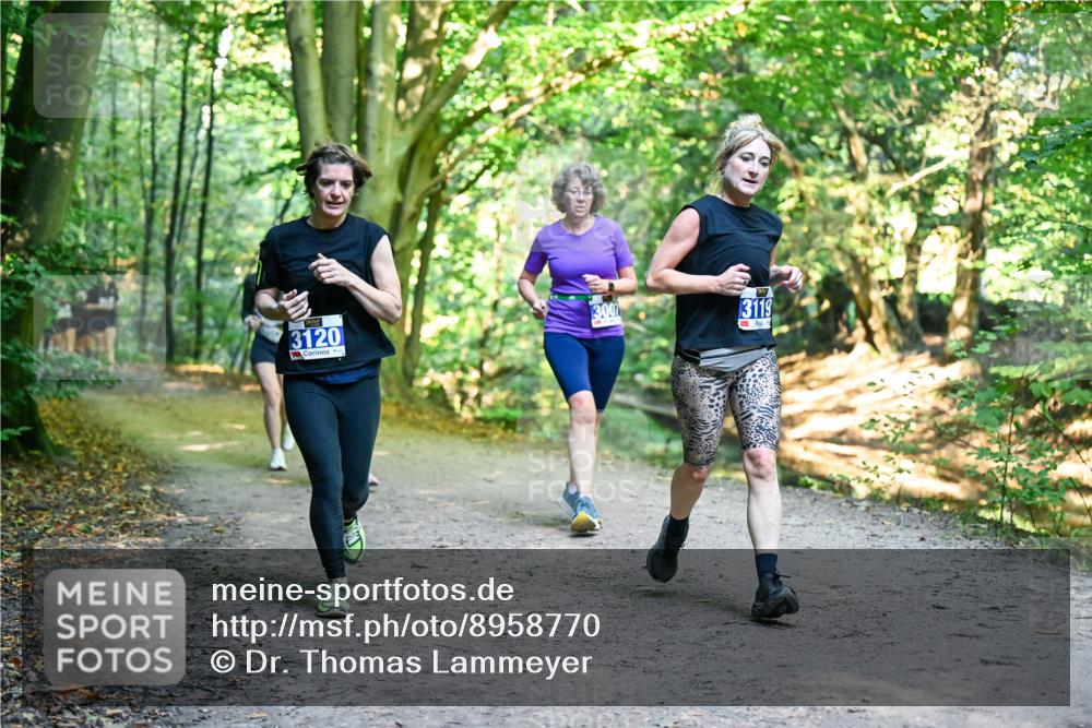 28.09.2025 - 33. Volkslauf durch das schöne Alstertal Dr. Thomas Lammeyer http://msf.ph/oto/8958770 28.09.2025 10:52:45 Laufen 3120, 3007, 3119 meine-sportfotos.de