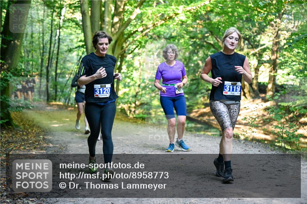 28.09.2025 - 33. Volkslauf durch das schöne Alstertal Dr. Thomas Lammeyer http://msf.ph/oto/8958773 28.09.2025 10:52:45 Laufen 3120, 30, 3119 meine-sportfotos.de