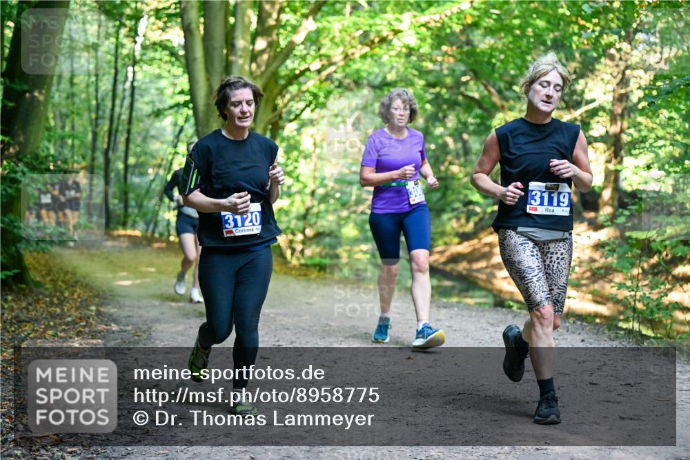 28.09.2025 - 33. Volkslauf durch das schöne Alstertal Dr. Thomas Lammeyer http://msf.ph/oto/8958775 28.09.2025 10:52:45 Laufen 3120, 3119, 1 meine-sportfotos.de