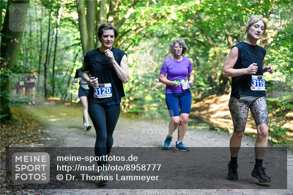 28.09.2025 - 33. Volkslauf durch das schöne Alstertal Dr. Thomas Lammeyer http://msf.ph/oto/8958777 28.09.2025 10:52:46 Laufen 3120, 300, 3119 meine-sportfotos.de