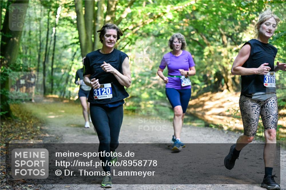 28.09.2025 - 33. Volkslauf durch das schöne Alstertal Dr. Thomas Lammeyer http://msf.ph/oto/8958778 28.09.2025 10:52:46 Laufen 3120, 3001, 3119 meine-sportfotos.de