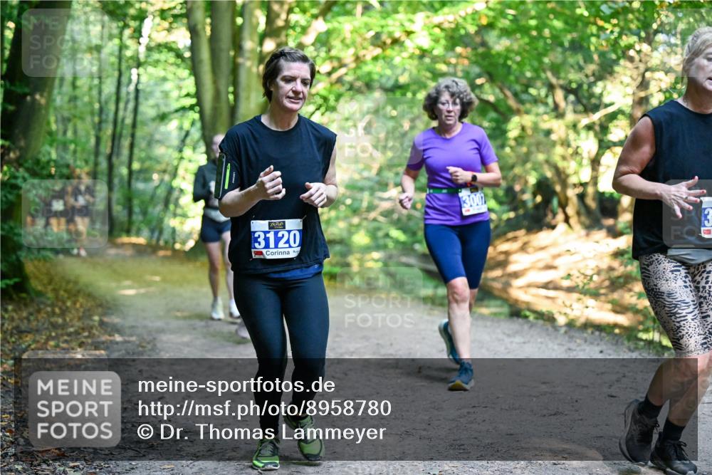 28.09.2025 - 33. Volkslauf durch das schöne Alstertal Dr. Thomas Lammeyer http://msf.ph/oto/8958780 28.09.2025 10:52:46 Laufen 3120, 3007 meine-sportfotos.de