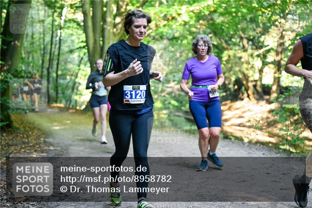 28.09.2025 - 33. Volkslauf durch das schöne Alstertal Dr. Thomas Lammeyer http://msf.ph/oto/8958782 28.09.2025 10:52:46 Laufen 3120 meine-sportfotos.de