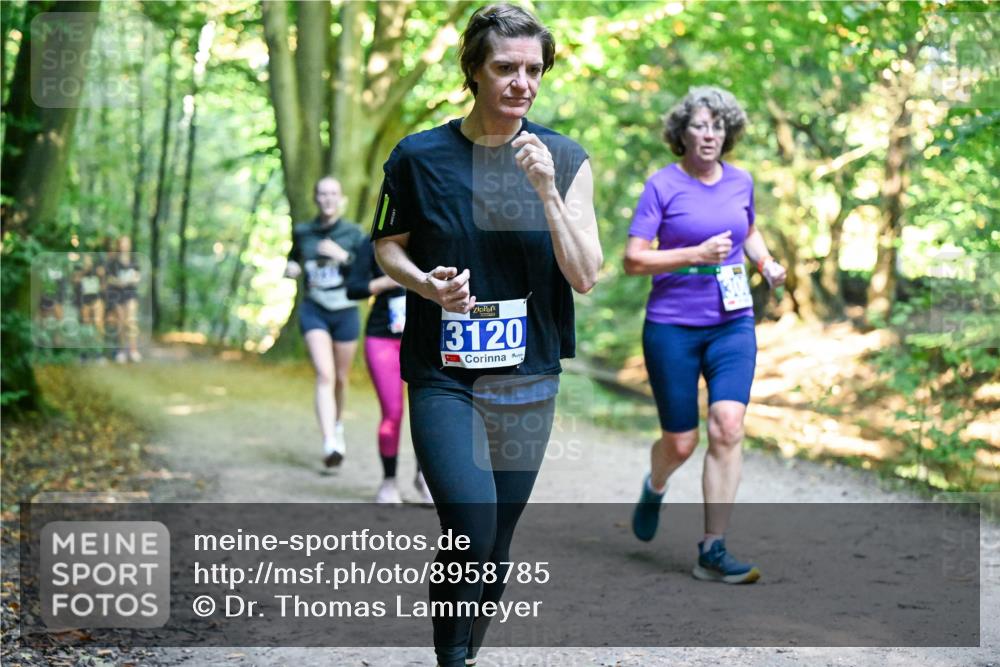 28.09.2025 - 33. Volkslauf durch das schöne Alstertal Dr. Thomas Lammeyer http://msf.ph/oto/8958785 28.09.2025 10:52:46 Laufen 3120 meine-sportfotos.de