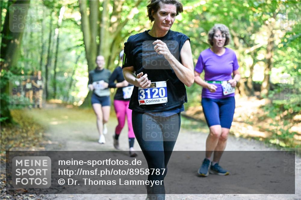 28.09.2025 - 33. Volkslauf durch das schöne Alstertal Dr. Thomas Lammeyer http://msf.ph/oto/8958787 28.09.2025 10:52:46 Laufen 3120 meine-sportfotos.de