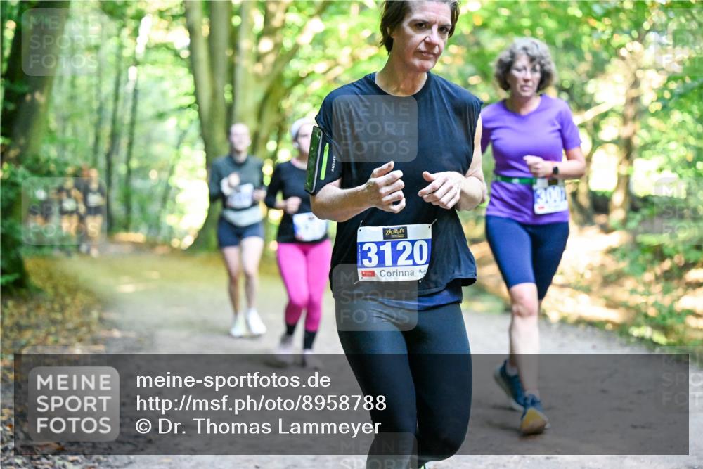 28.09.2025 - 33. Volkslauf durch das schöne Alstertal Dr. Thomas Lammeyer http://msf.ph/oto/8958788 28.09.2025 10:52:47 Laufen 3120, 3, 00 meine-sportfotos.de