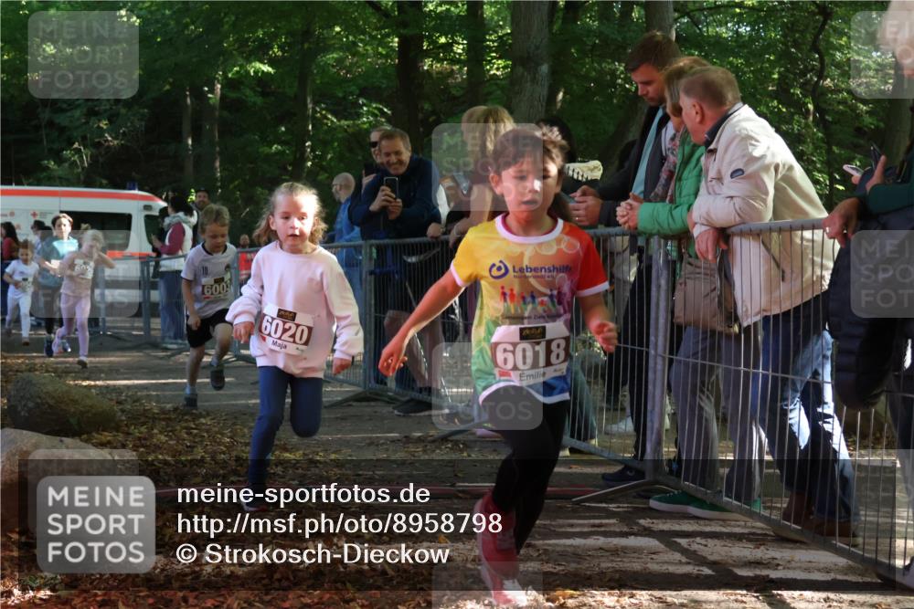 28.09.2025 - 33. Volkslauf durch das schöne Alstertal Strokosch-Dieckow http://msf.ph/oto/8958798 28.09.2025 10:42:09 Ziel  meine-sportfotos.de