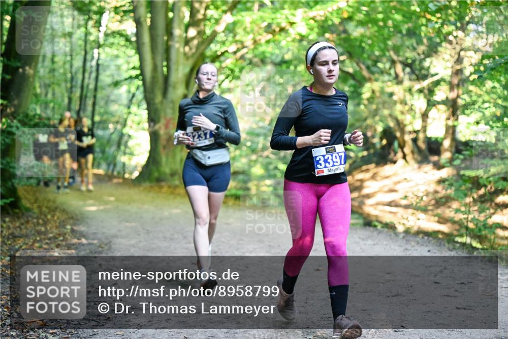 28.09.2025 - 33. Volkslauf durch das schöne Alstertal Dr. Thomas Lammeyer http://msf.ph/oto/8958799 28.09.2025 10:52:48 Laufen 237, 13397 meine-sportfotos.de