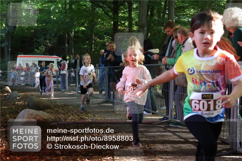 28.09.2025 - 33. Volkslauf durch das schöne Alstertal Strokosch-Dieckow http://msf.ph/oto/8958803 28.09.2025 10:42:10 Ziel  meine-sportfotos.de