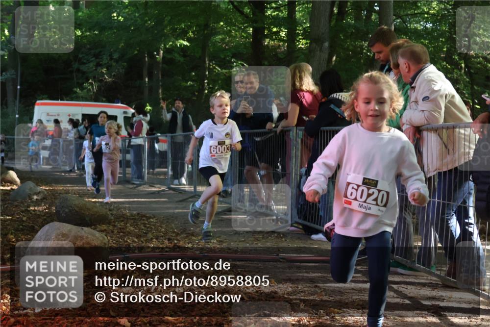 28.09.2025 - 33. Volkslauf durch das schöne Alstertal Strokosch-Dieckow http://msf.ph/oto/8958805 28.09.2025 10:42:10 Ziel  meine-sportfotos.de