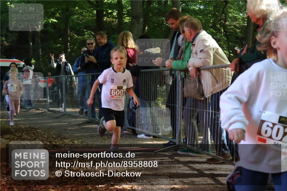 28.09.2025 - 33. Volkslauf durch das schöne Alstertal Strokosch-Dieckow http://msf.ph/oto/8958808 28.09.2025 10:42:11 Ziel  meine-sportfotos.de