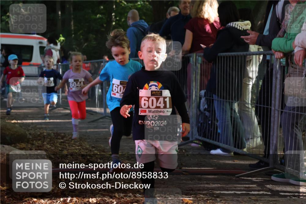 28.09.2025 - 33. Volkslauf durch das schöne Alstertal Strokosch-Dieckow http://msf.ph/oto/8958833 28.09.2025 10:42:18 Ziel  meine-sportfotos.de