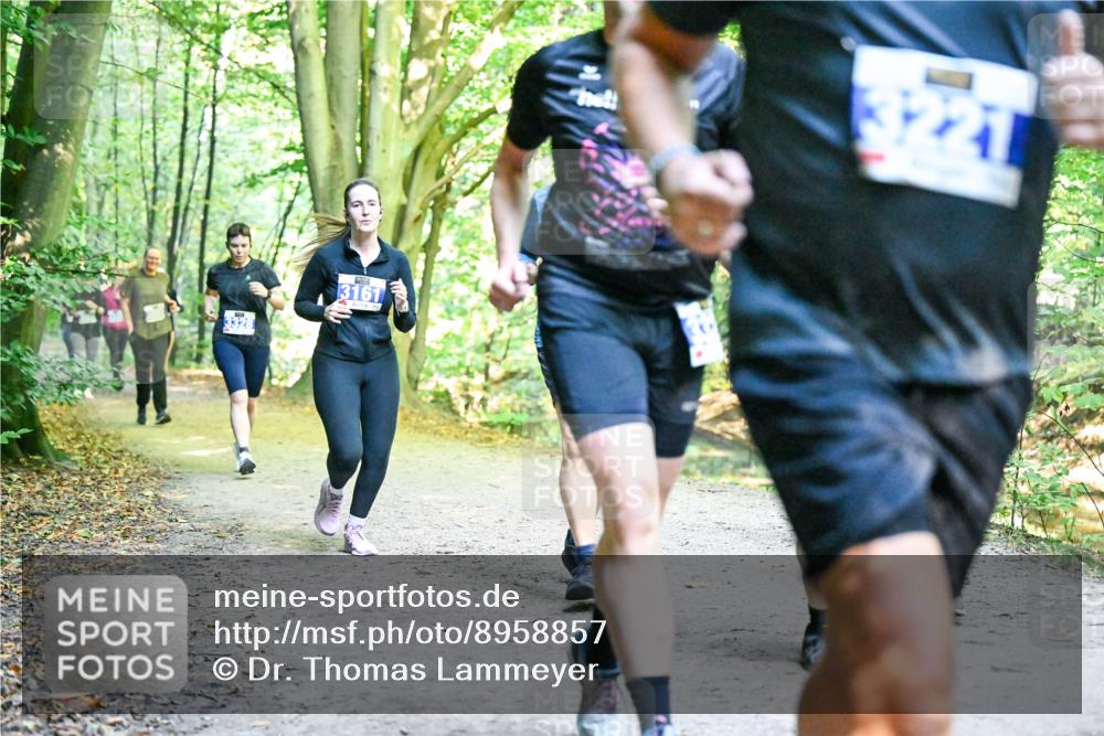 28.09.2025 - 33. Volkslauf durch das schöne Alstertal Dr. Thomas Lammeyer http://msf.ph/oto/8958857 28.09.2025 10:52:57 Laufen 3328, 3161 meine-sportfotos.de