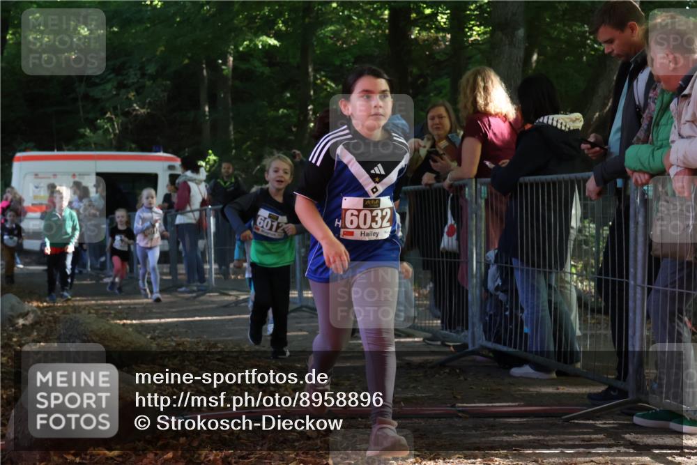 28.09.2025 - 33. Volkslauf durch das schöne Alstertal Strokosch-Dieckow http://msf.ph/oto/8958896 28.09.2025 10:42:30 Ziel  meine-sportfotos.de