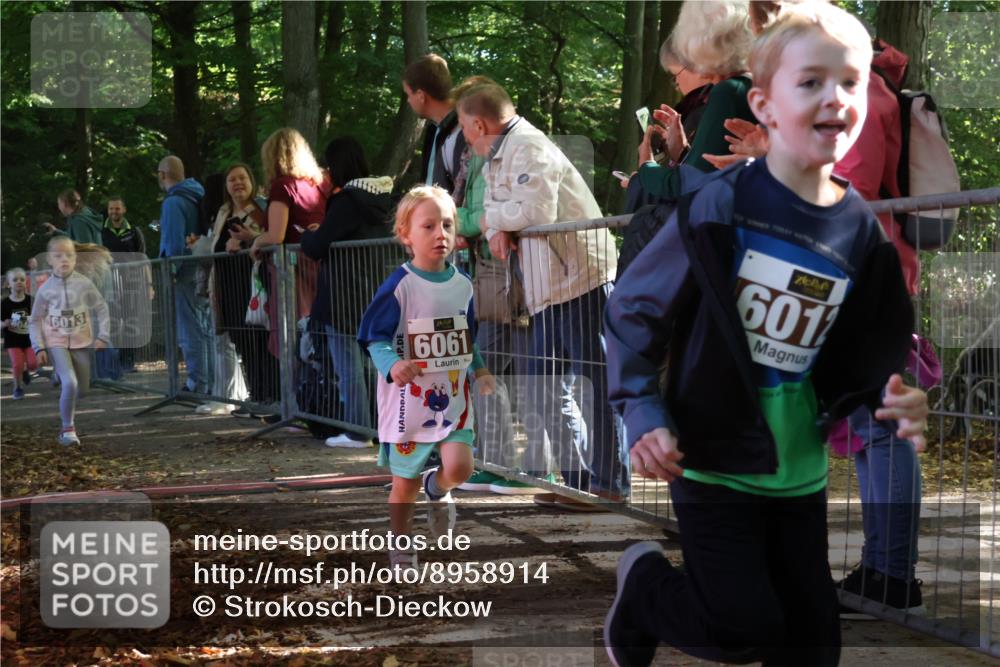28.09.2025 - 33. Volkslauf durch das schöne Alstertal Strokosch-Dieckow http://msf.ph/oto/8958914 28.09.2025 10:42:34 Ziel  meine-sportfotos.de
