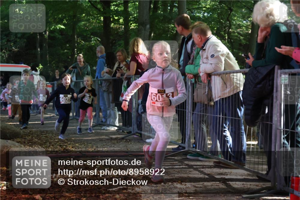 28.09.2025 - 33. Volkslauf durch das schöne Alstertal Strokosch-Dieckow http://msf.ph/oto/8958922 28.09.2025 10:42:35 Ziel  meine-sportfotos.de