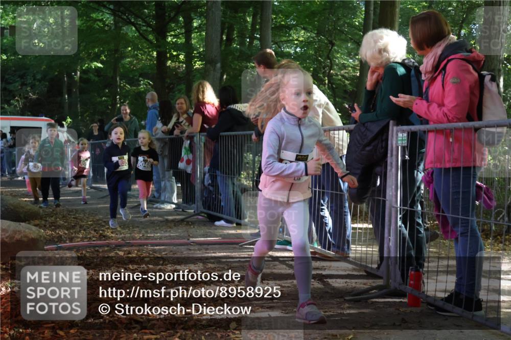 28.09.2025 - 33. Volkslauf durch das schöne Alstertal Strokosch-Dieckow http://msf.ph/oto/8958925 28.09.2025 10:42:36 Ziel  meine-sportfotos.de