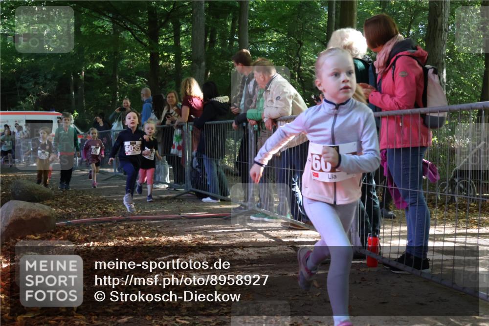 28.09.2025 - 33. Volkslauf durch das schöne Alstertal Strokosch-Dieckow http://msf.ph/oto/8958927 28.09.2025 10:42:36 Ziel  meine-sportfotos.de