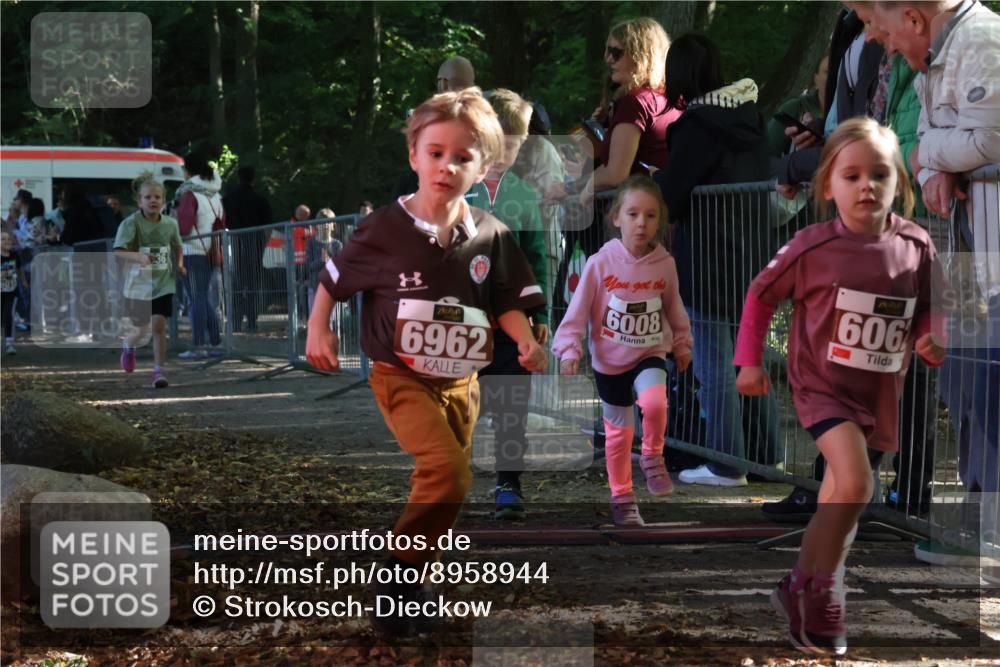 28.09.2025 - 33. Volkslauf durch das schöne Alstertal Strokosch-Dieckow http://msf.ph/oto/8958944 28.09.2025 10:42:39 Ziel  meine-sportfotos.de