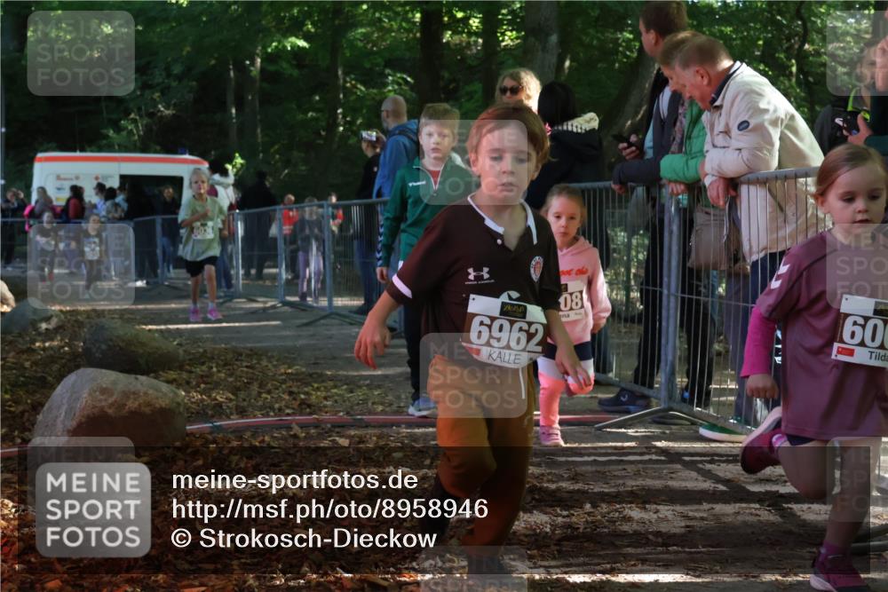 28.09.2025 - 33. Volkslauf durch das schöne Alstertal Strokosch-Dieckow http://msf.ph/oto/8958946 28.09.2025 10:42:40 Ziel  meine-sportfotos.de