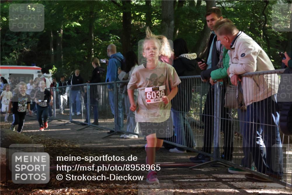28.09.2025 - 33. Volkslauf durch das schöne Alstertal Strokosch-Dieckow http://msf.ph/oto/8958965 28.09.2025 10:42:44 Ziel  meine-sportfotos.de