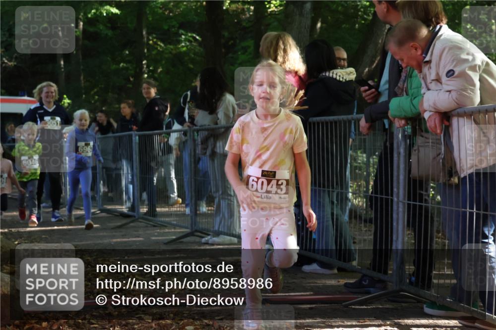 28.09.2025 - 33. Volkslauf durch das schöne Alstertal Strokosch-Dieckow http://msf.ph/oto/8958986 28.09.2025 10:42:49 Ziel  meine-sportfotos.de