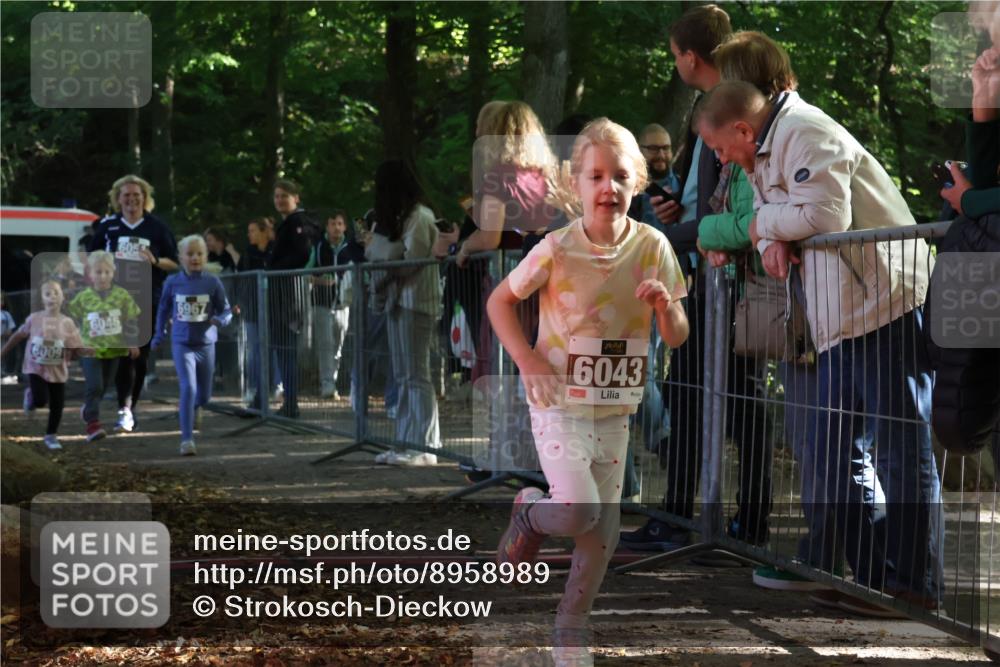 28.09.2025 - 33. Volkslauf durch das schöne Alstertal Strokosch-Dieckow http://msf.ph/oto/8958989 28.09.2025 10:42:49 Ziel  meine-sportfotos.de