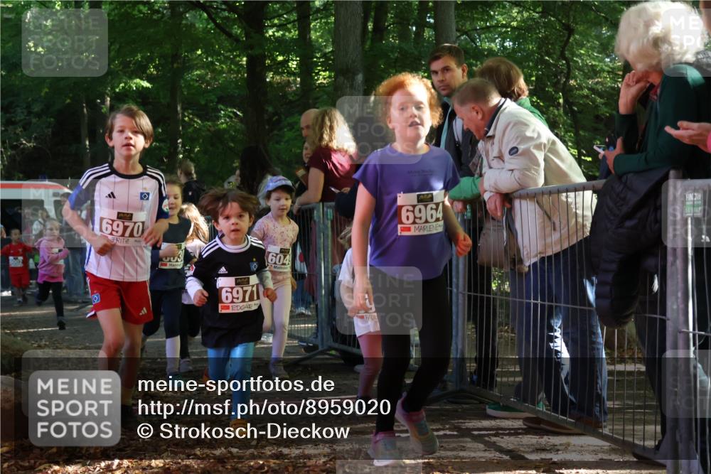 28.09.2025 - 33. Volkslauf durch das schöne Alstertal Strokosch-Dieckow http://msf.ph/oto/8959020 28.09.2025 10:42:57 Ziel  meine-sportfotos.de