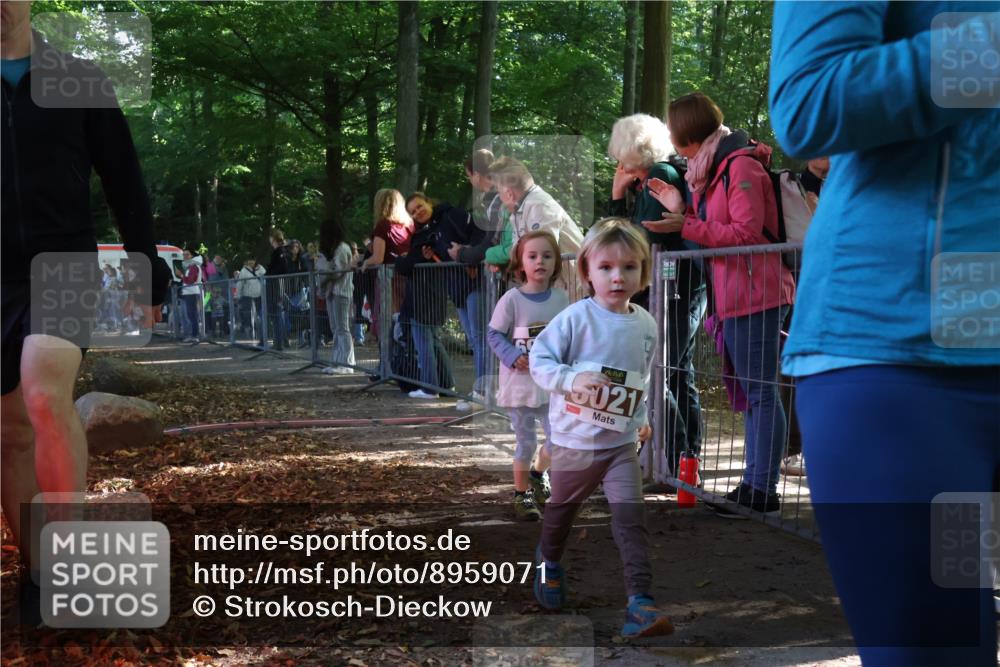 28.09.2025 - 33. Volkslauf durch das schöne Alstertal Strokosch-Dieckow http://msf.ph/oto/8959071 28.09.2025 10:43:06 Ziel  meine-sportfotos.de