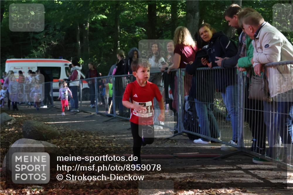 28.09.2025 - 33. Volkslauf durch das schöne Alstertal Strokosch-Dieckow http://msf.ph/oto/8959078 28.09.2025 10:43:12 Ziel  meine-sportfotos.de