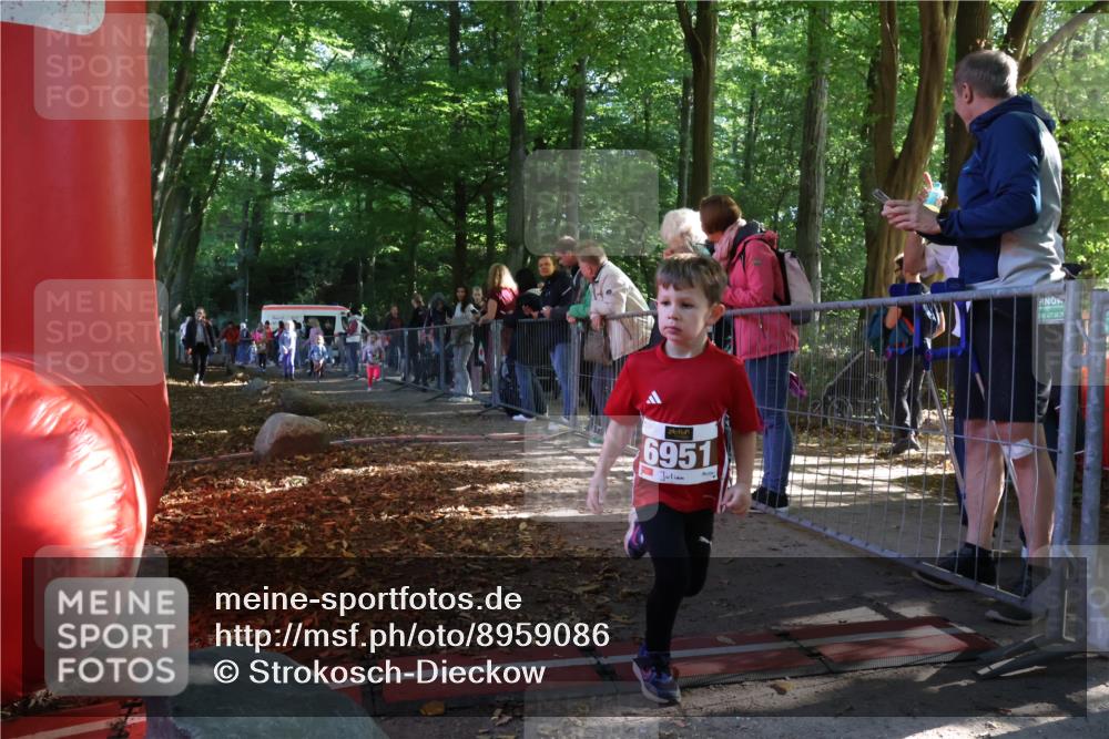 28.09.2025 - 33. Volkslauf durch das schöne Alstertal Strokosch-Dieckow http://msf.ph/oto/8959086 28.09.2025 10:43:14 Ziel  meine-sportfotos.de