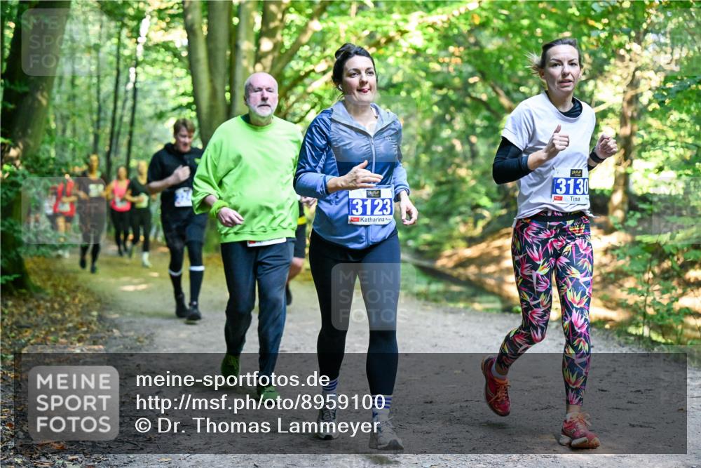 28.09.2025 - 33. Volkslauf durch das schöne Alstertal Dr. Thomas Lammeyer http://msf.ph/oto/8959100 28.09.2025 10:53:23 Laufen 3123, 13130, 1 meine-sportfotos.de