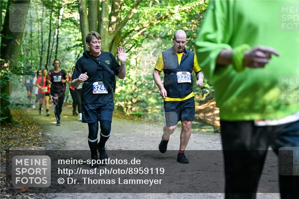 28.09.2025 - 33. Volkslauf durch das schöne Alstertal Dr. Thomas Lammeyer http://msf.ph/oto/8959119 28.09.2025 10:53:25 Laufen 313, 3239, 3240 meine-sportfotos.de