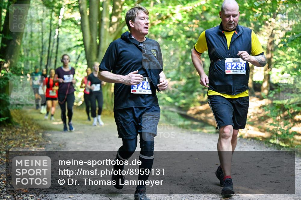 28.09.2025 - 33. Volkslauf durch das schöne Alstertal Dr. Thomas Lammeyer http://msf.ph/oto/8959131 28.09.2025 10:53:26 Laufen 5240, 3239 meine-sportfotos.de