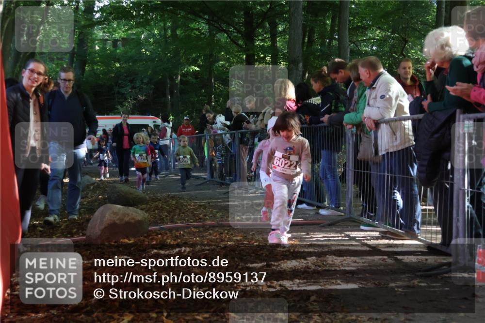 28.09.2025 - 33. Volkslauf durch das schöne Alstertal Strokosch-Dieckow http://msf.ph/oto/8959137 28.09.2025 10:43:27 Ziel  meine-sportfotos.de