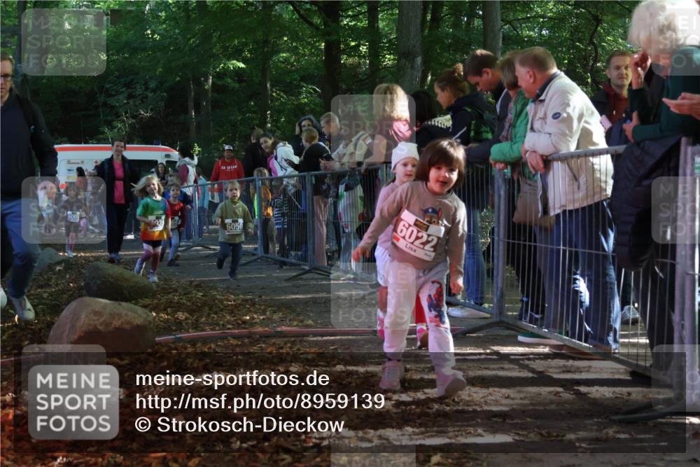 28.09.2025 - 33. Volkslauf durch das schöne Alstertal Strokosch-Dieckow http://msf.ph/oto/8959139 28.09.2025 10:43:27 Ziel  meine-sportfotos.de