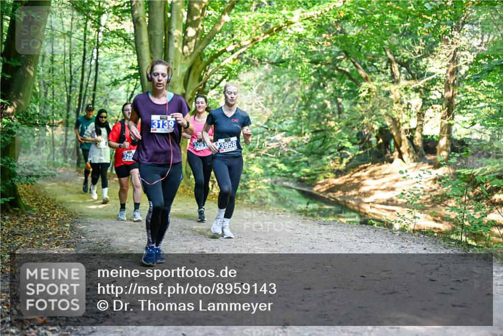 28.09.2025 - 33. Volkslauf durch das schöne Alstertal Dr. Thomas Lammeyer http://msf.ph/oto/8959143 28.09.2025 10:53:28 Laufen 325, 3139, 3251, 3958 meine-sportfotos.de