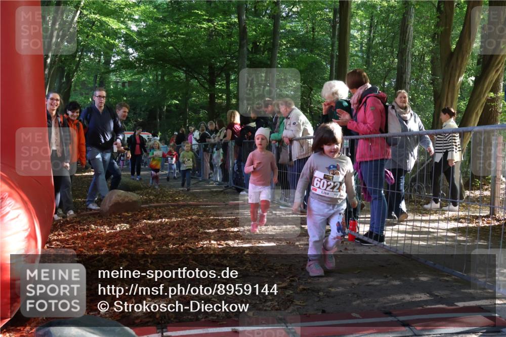 28.09.2025 - 33. Volkslauf durch das schöne Alstertal Strokosch-Dieckow http://msf.ph/oto/8959144 28.09.2025 10:43:28 Ziel  meine-sportfotos.de