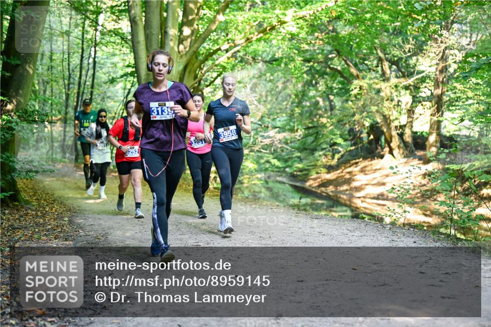 28.09.2025 - 33. Volkslauf durch das schöne Alstertal Dr. Thomas Lammeyer http://msf.ph/oto/8959145 28.09.2025 10:53:28 Laufen 6252, 131395, 3958 meine-sportfotos.de