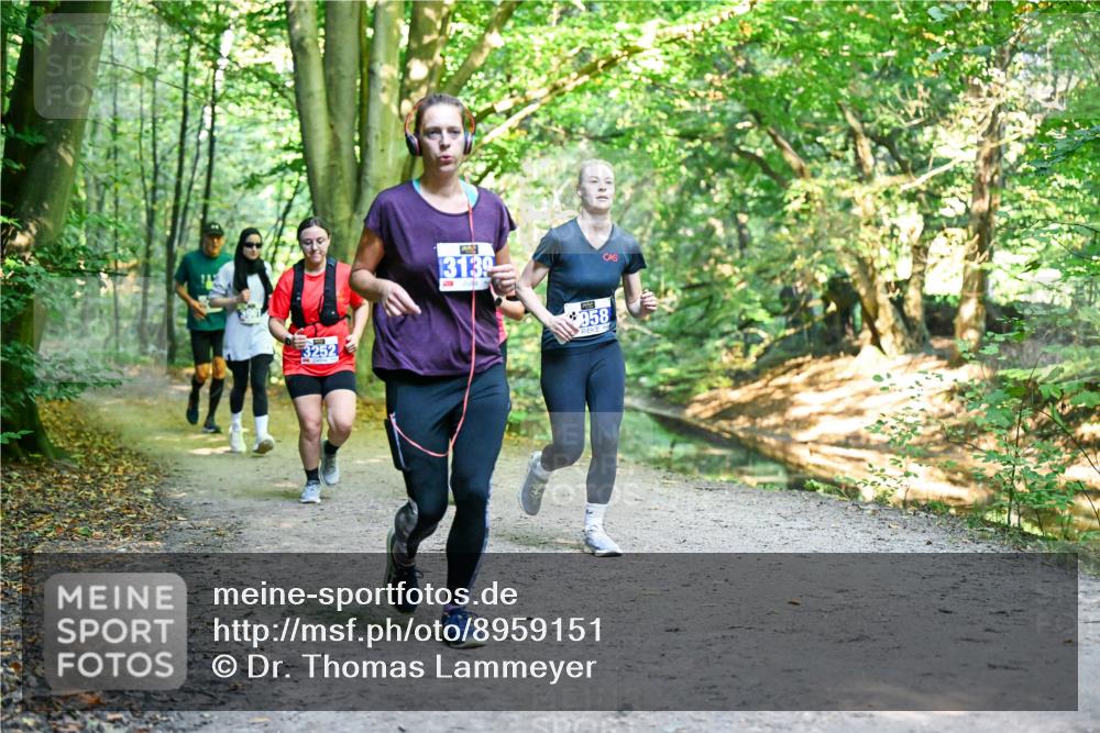 28.09.2025 - 33. Volkslauf durch das schöne Alstertal Dr. Thomas Lammeyer http://msf.ph/oto/8959151 28.09.2025 10:53:29 Laufen 3252, 13139, 958 meine-sportfotos.de