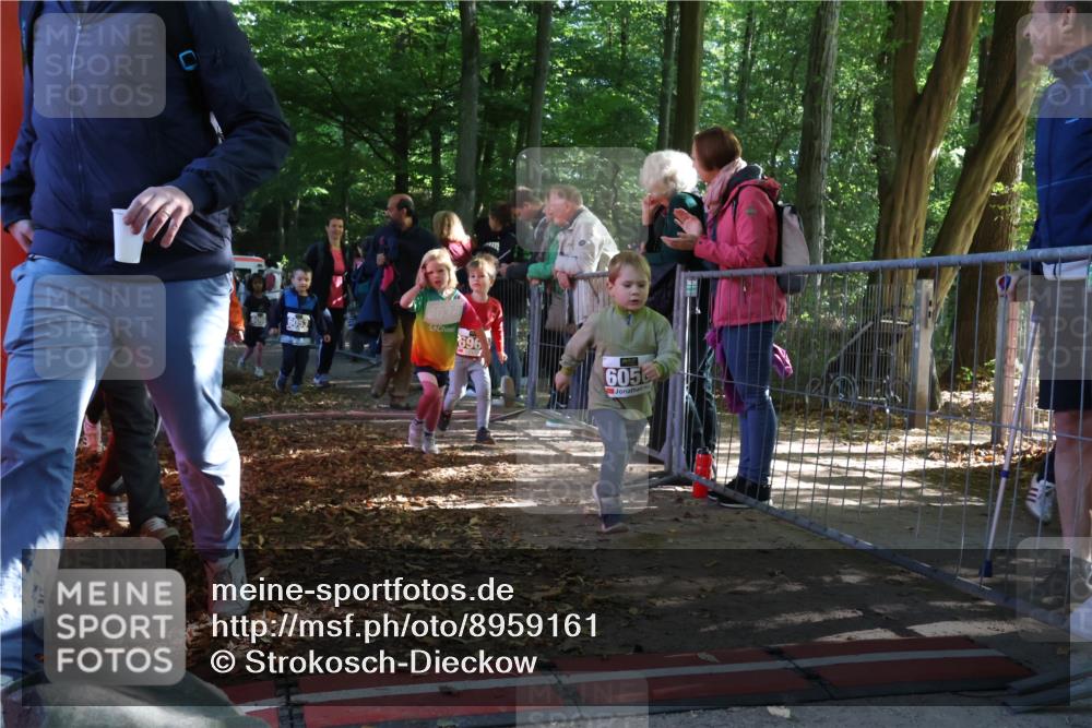 28.09.2025 - 33. Volkslauf durch das schöne Alstertal Strokosch-Dieckow http://msf.ph/oto/8959161 28.09.2025 10:43:31 Ziel  meine-sportfotos.de